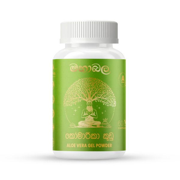 Aloe Vera Gel Powder