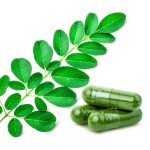 How Moringa Supports Immune Balance