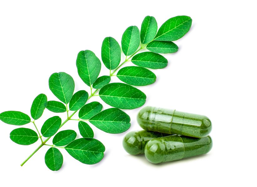 How Moringa Supports Immune Balance