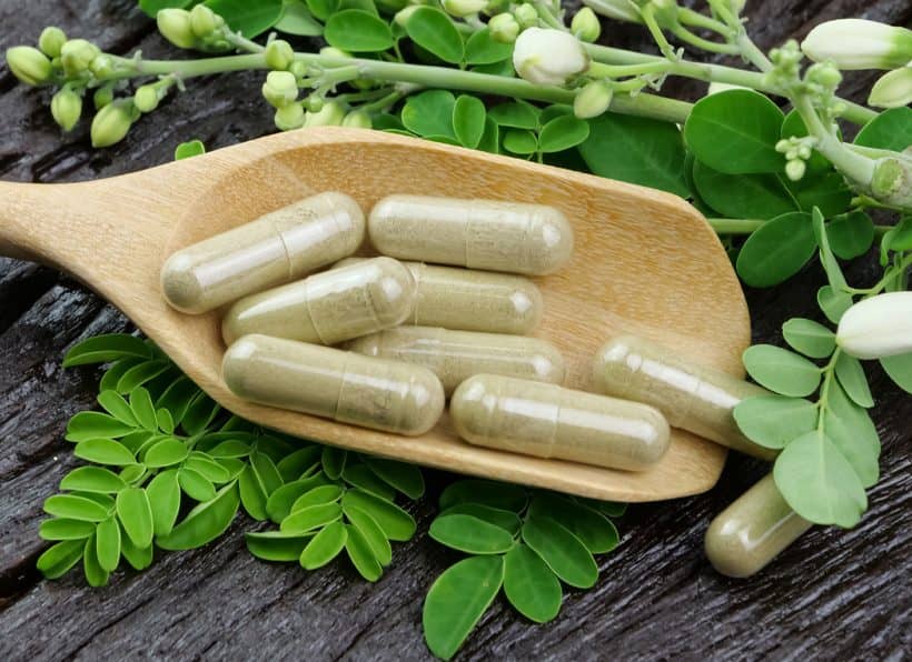 Feel-Steady-Energy-with-Moringa-820x596